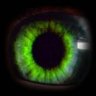 greeneye1001