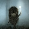 Hedgehog-of-Fog